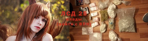 крисы Армянск