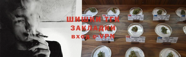 крисы Армянск