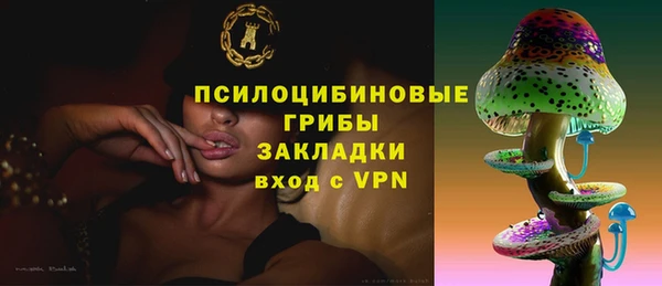 крисы Армянск