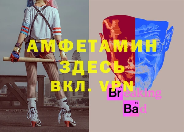 дмт Алзамай