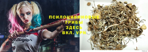 таблы Аркадак