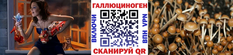 Галлюциногенные грибы Magic Shrooms Чернушка